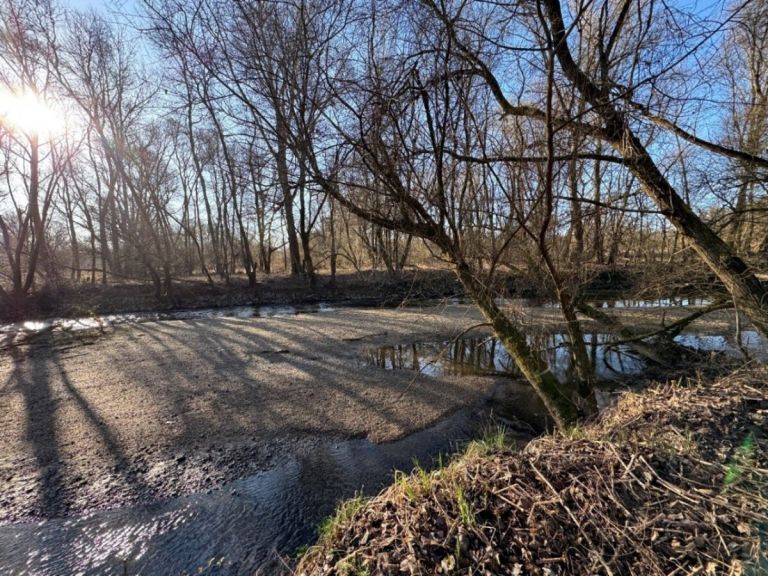 recni-rokav, benica, obnova