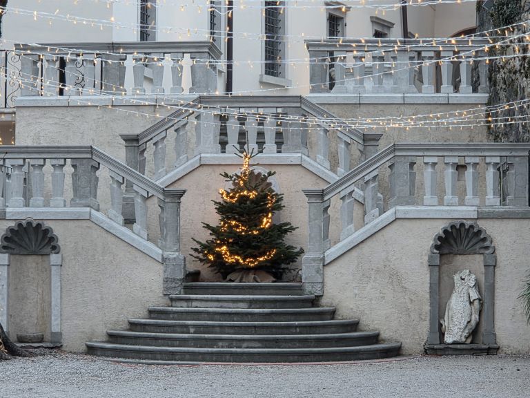 E.P.Grajsko dvorišče.jpg