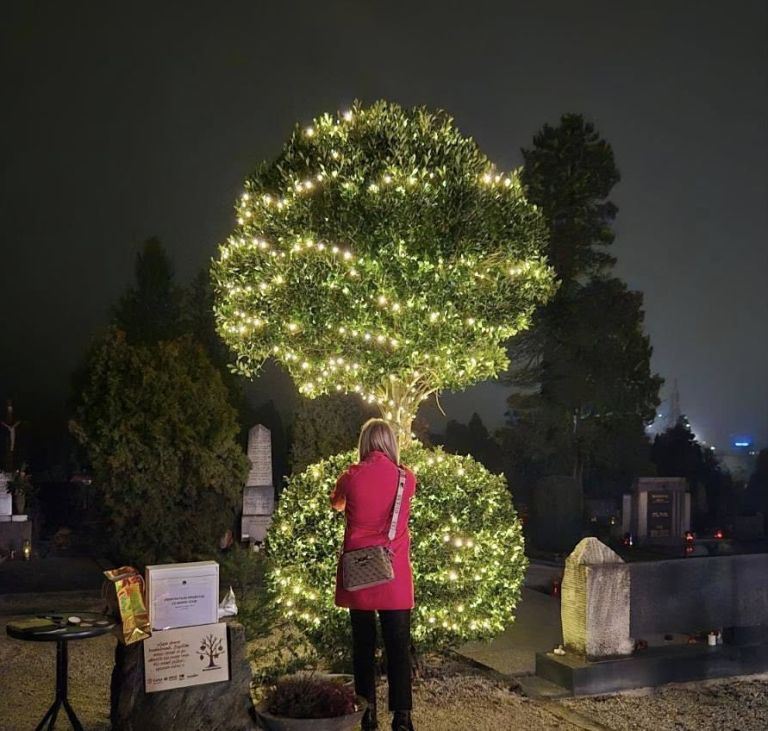 drevo-hvaleznosti, celje