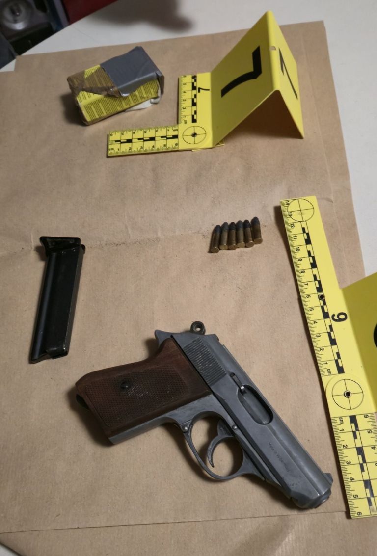 konoplja, zaseg, siska