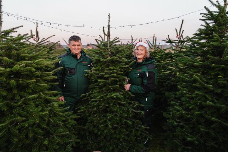 kavkaske-jelke, grmsek-radanovic