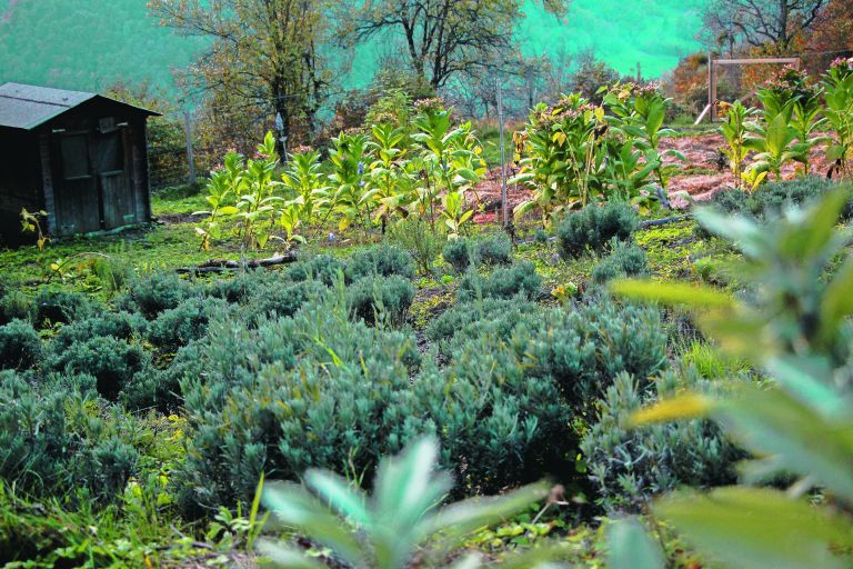 drame IMG_2201 foto sara pozin.jpg