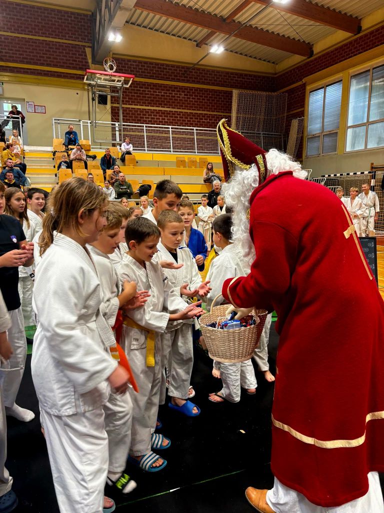 sibor-inotherm, ju-jitsu