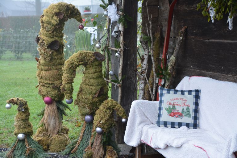 kavkaske-jelke, grmsek-radanovic