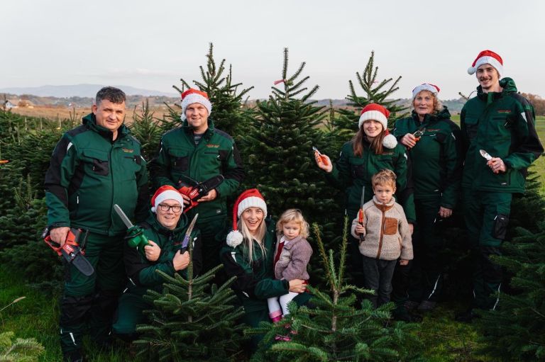 kavkaske-jelke, grmsek-radanovic