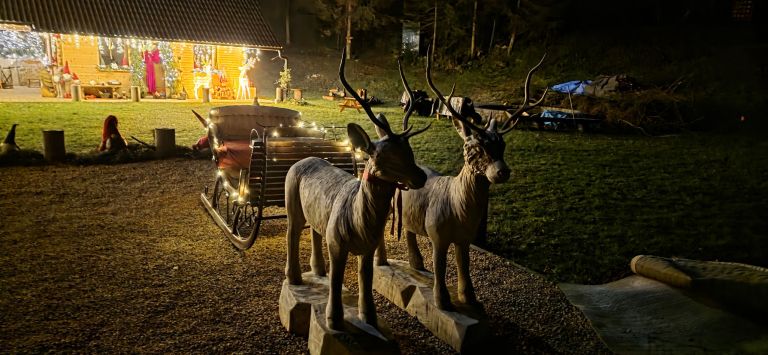 BOŽIČKOVA DEŽELA V GRADENCU 3