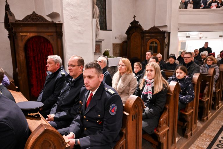 masa-domovina, stolnica-novo-mesto