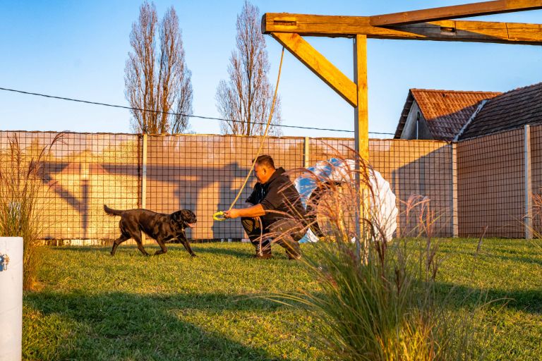 animal-resort-pomurje, hotel-za-male-živali