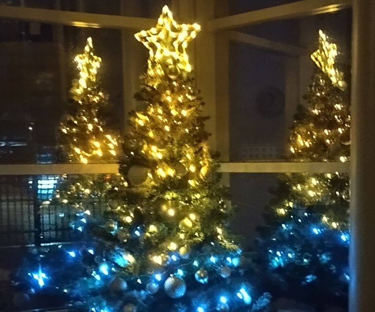 zavetišče Ljubljana 2.jpg