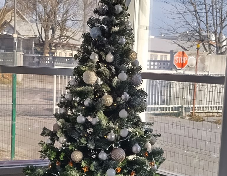 zavetišče Ljubljana 1.jpg