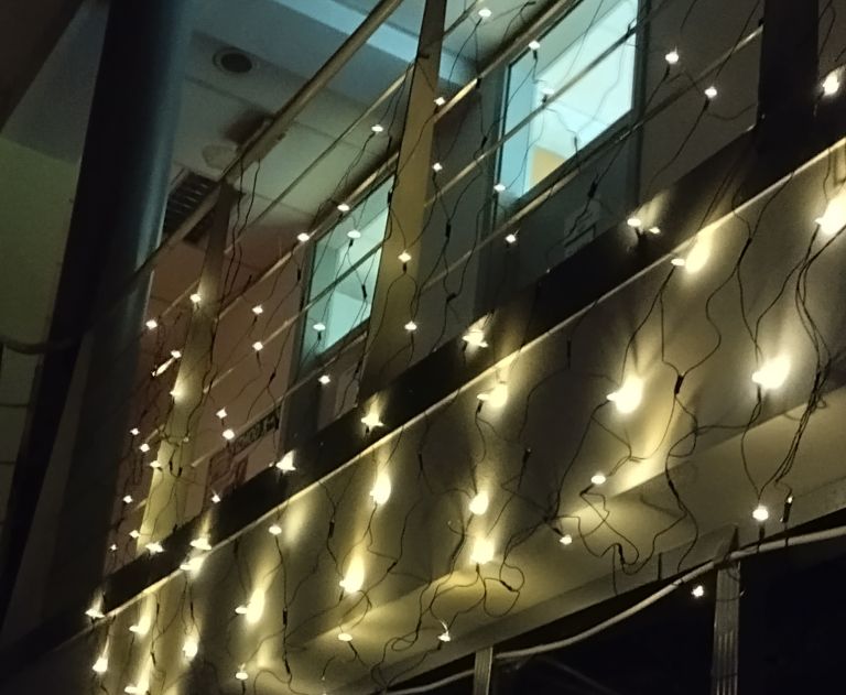 zavetišče Ljubljana 3.jpg