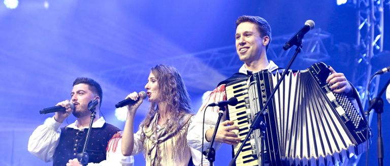 Ansambel Saša Avsenika, Stožice