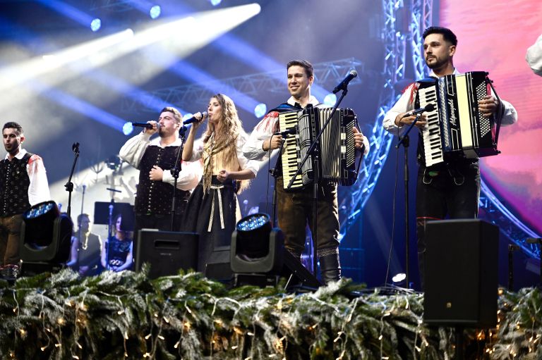 Ansambel Saša Avsenika (1).jpg