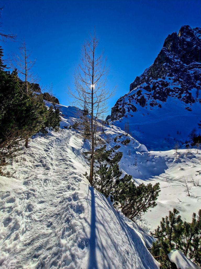 lepo uhojena pot-pl.JPG