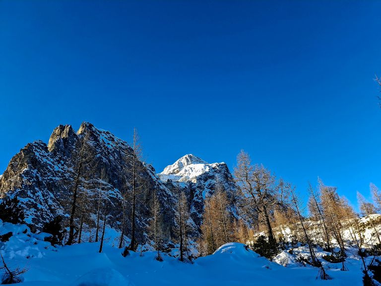 macesni pod mojstrovko-pl.JPG