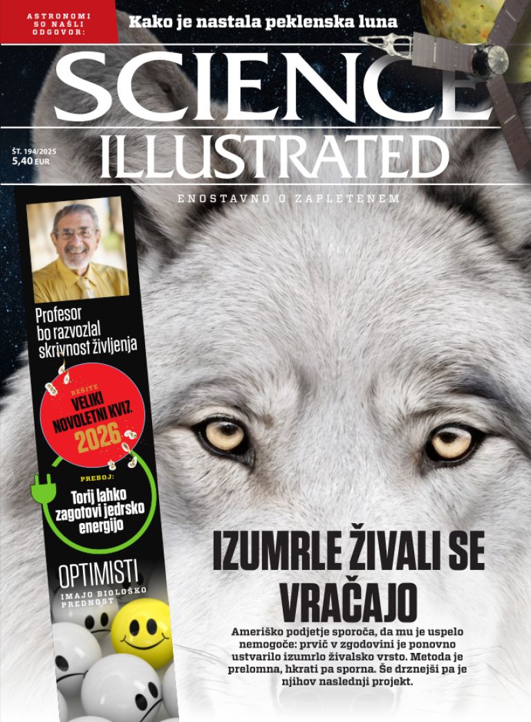 Posnetek zaslona 2025-12-21 102605.png