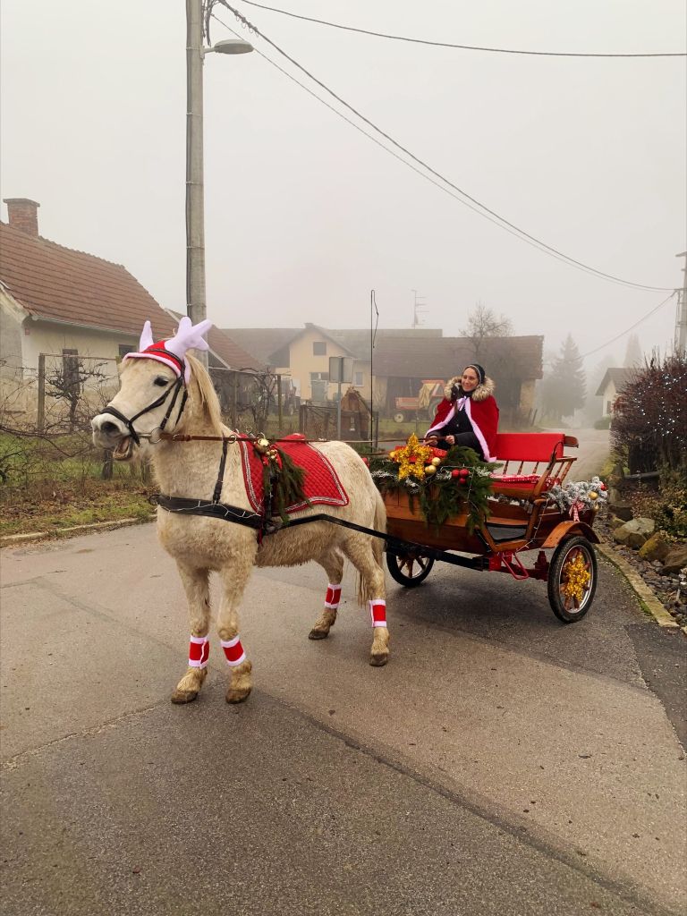 loncarovci, bozicna-vas, gin-bells