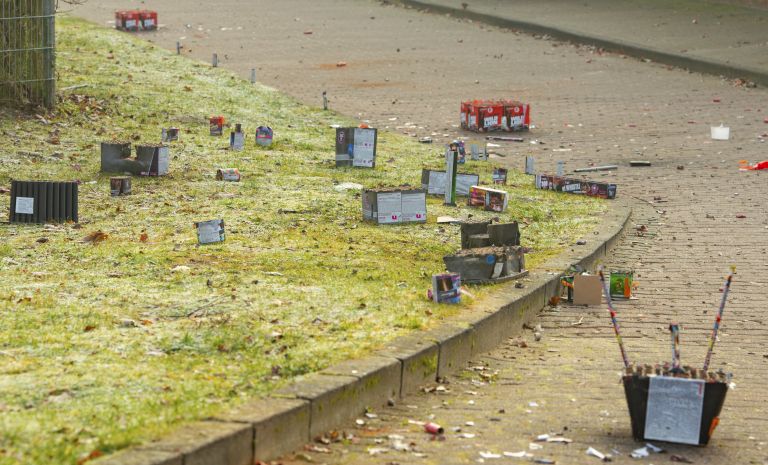 pirotehnika-in-zivali, pirotehnika