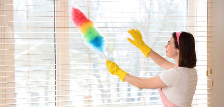 brisanje-prahu, ciscenje-stanovanja