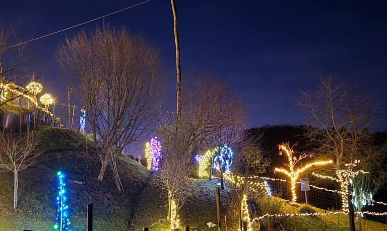 EK_okrasitev pristava 1.jpg