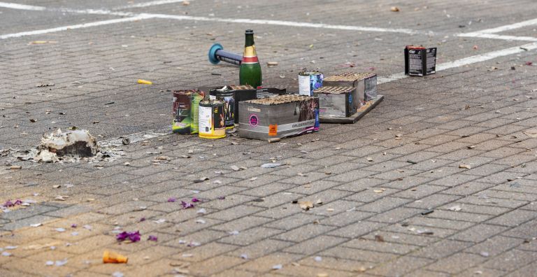 pirotehnika-in-zivali, pirotehnika