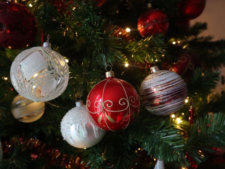 Vsem želim blagoslovljene božične praznike in lep vstop v novo leto..JPG