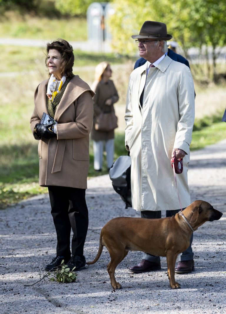 psi - carl gustaf.jpg