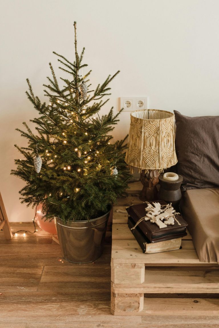 božično-novoletno drevesce v loncu