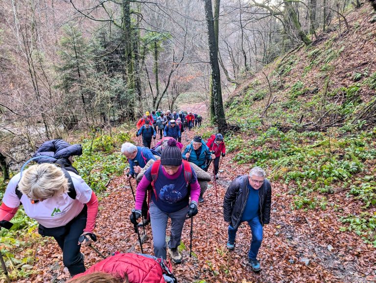 planinski-izlet, bohor