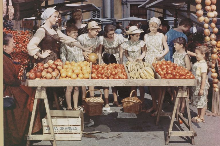 moje-pesmi-moje-sanje