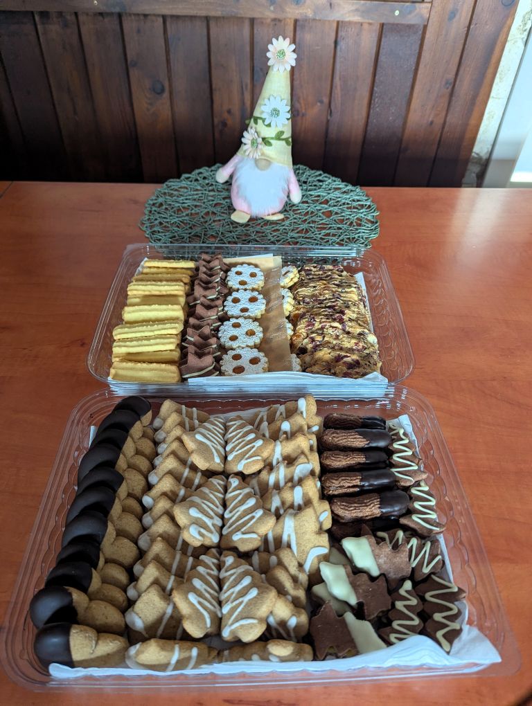 planinski-izlet, bohor