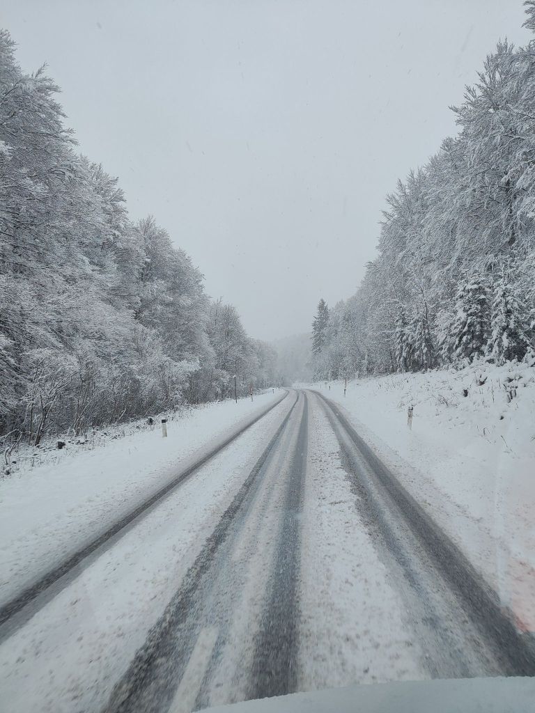 Zasnežena cesta od Dvora do Kočevja.