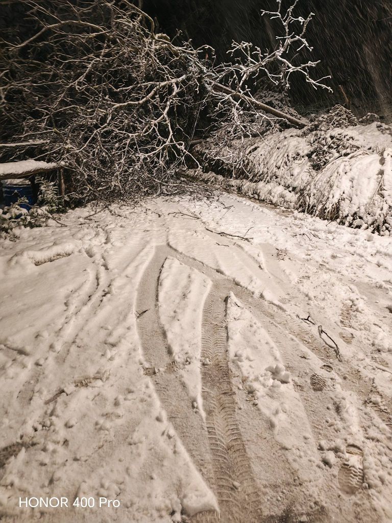 Podrto drevo na relaciji Gabrje Kandija.