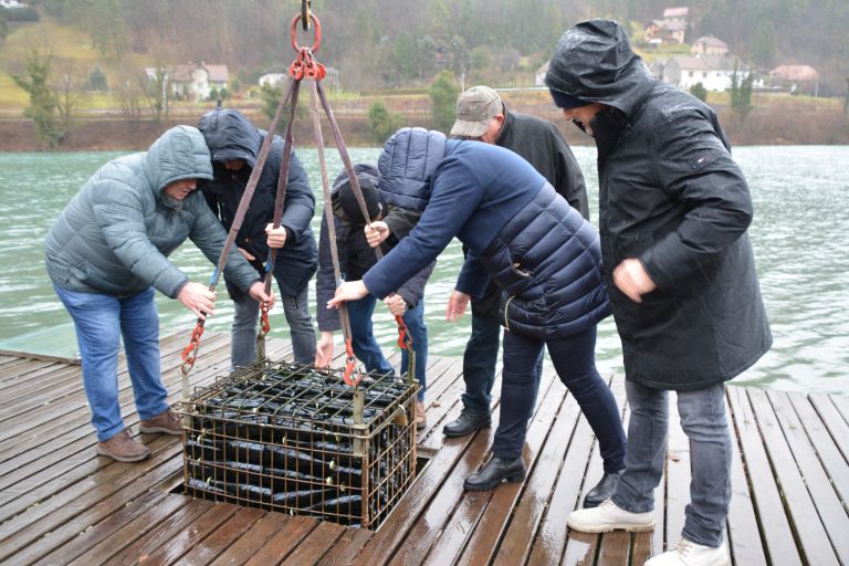 potop-penin-v-savo, sava