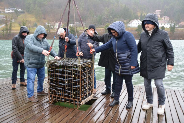 potop-penin-v-savo, sava