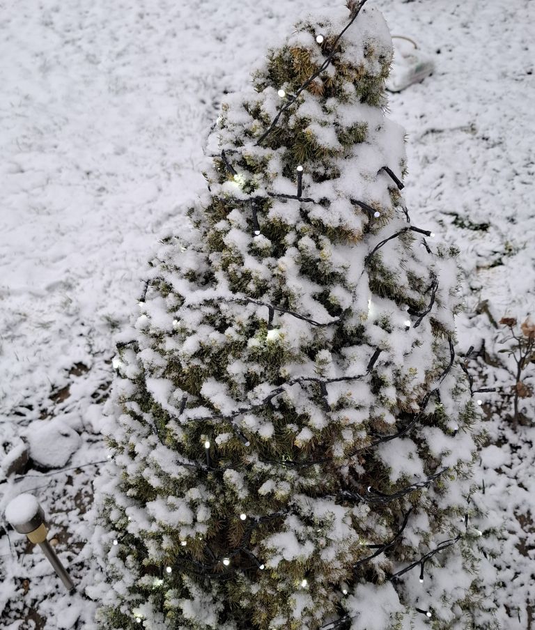 sneg, pomurje, snezna-odeja