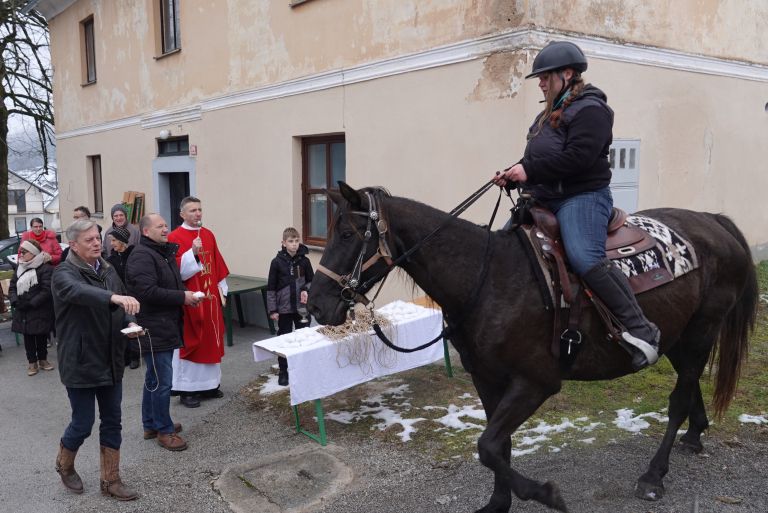 blagoslov-konj, gorenje-susice