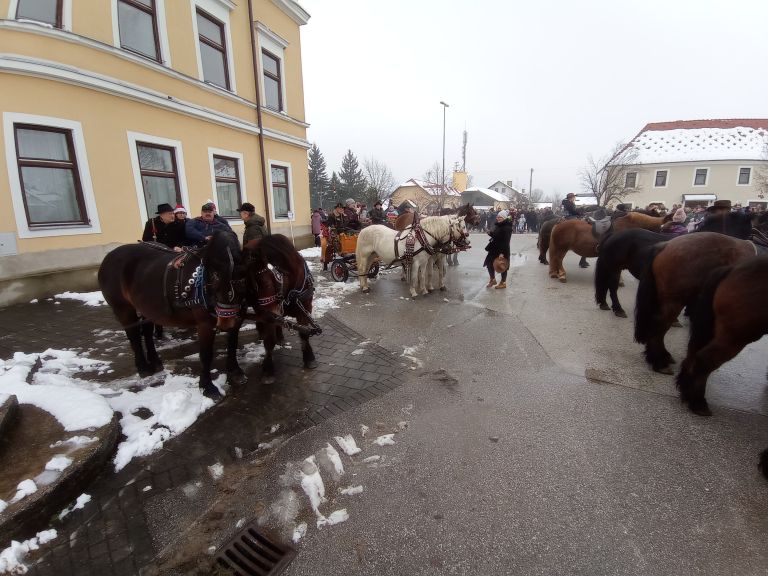 trideseti-blagoslov-konj-v-kapelah, stefanovo, konjerejsko-drustvo-kapele