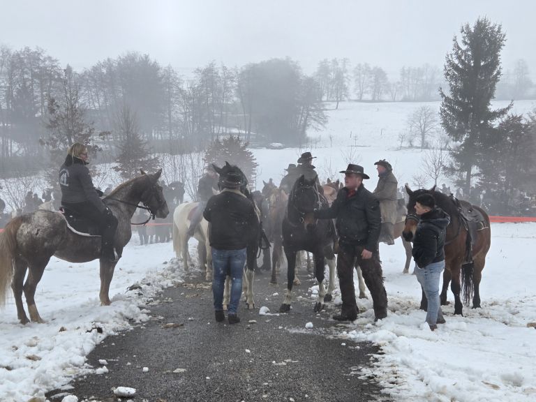 dolenja-stara-vas, blagoslov-konj-2025
