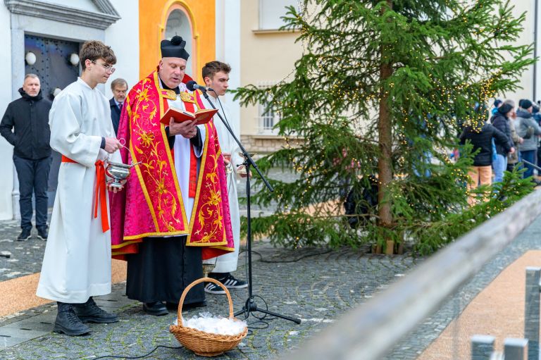 stefanje, dan-samostojnosti-in-enotnosti, trznica