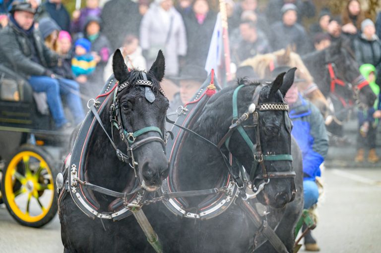 stefanje, dan-samostojnosti-in-enotnosti, trznica