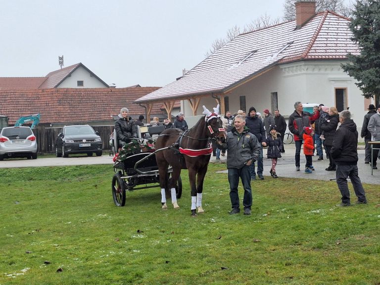 blagoslov konjev, veržej