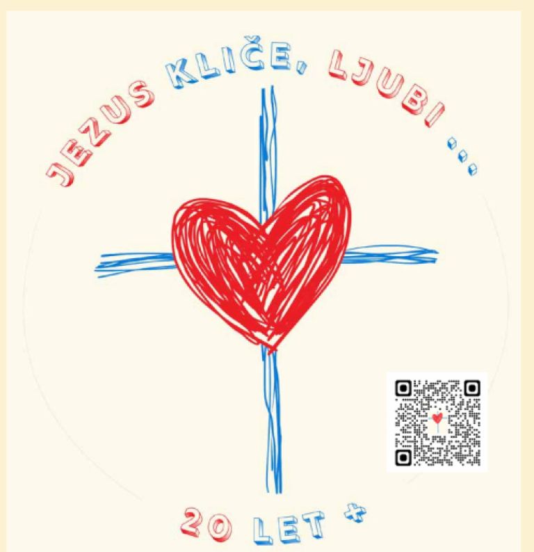 20 let škofije, logotip