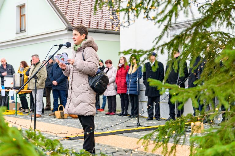 stefanje, dan-samostojnosti-in-enotnosti, trznica