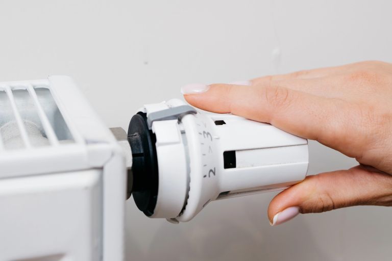 trajnost, trajnostni-dom