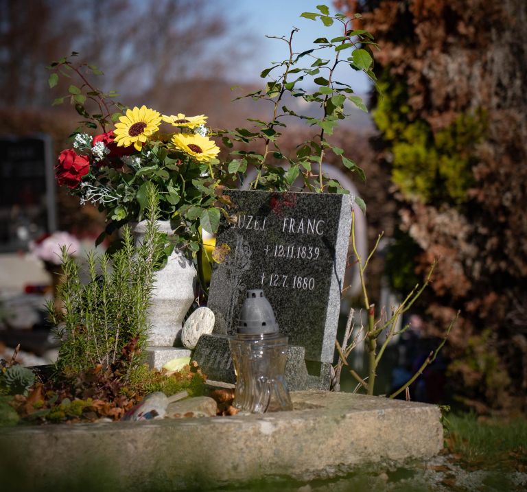 guzej strasek-guzej07.jpg