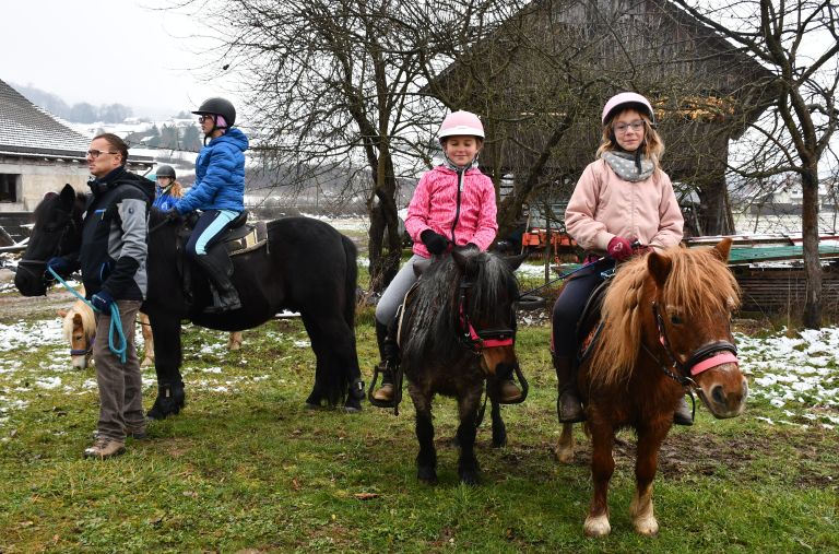zegnanje-konj, stefanovo