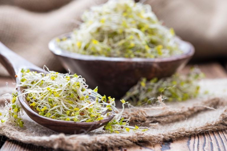 z brokolijevi kalcki.jpg