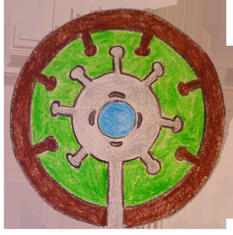 zelenjavni vrt kot mandala 3