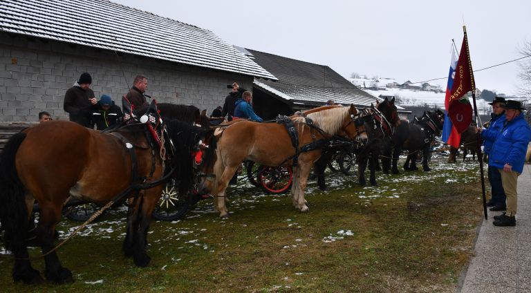 zegnanje-konj, stefanovo